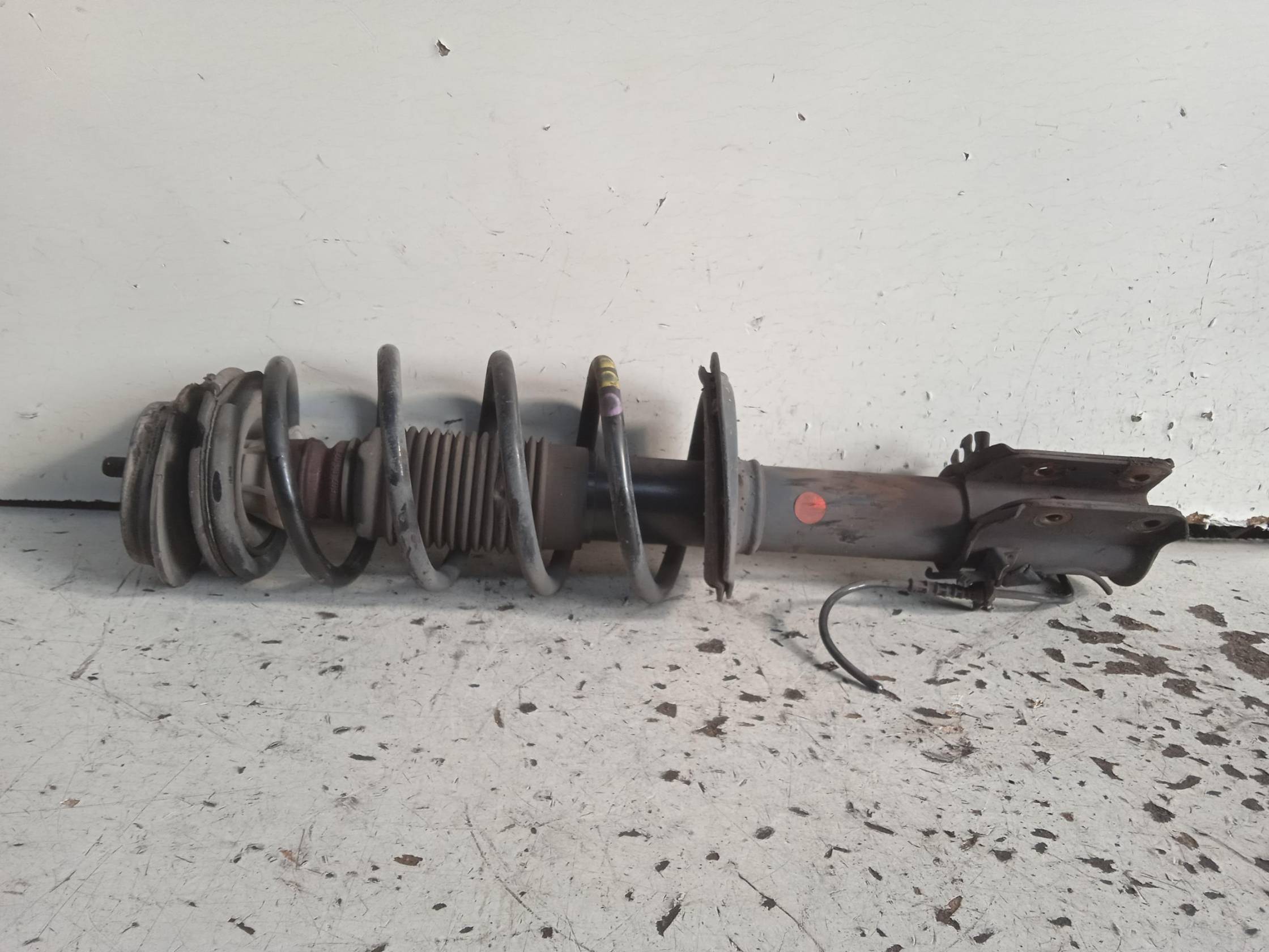 Ammortizzatore ant. dx.